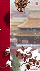 中国二十四节气之一小雪节日视频海报视频的预览图